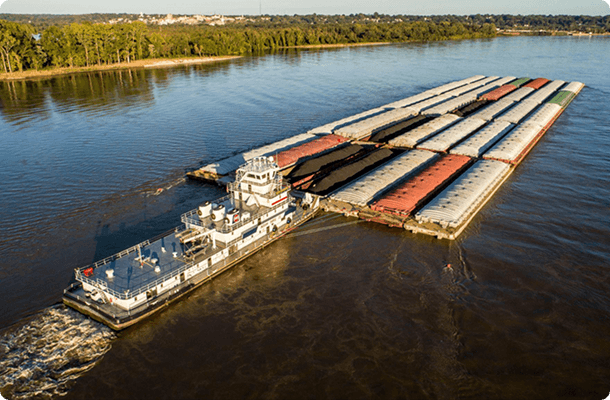 Diagnostic Assessment