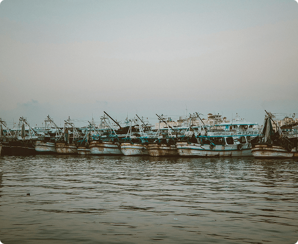 Implementation & Training