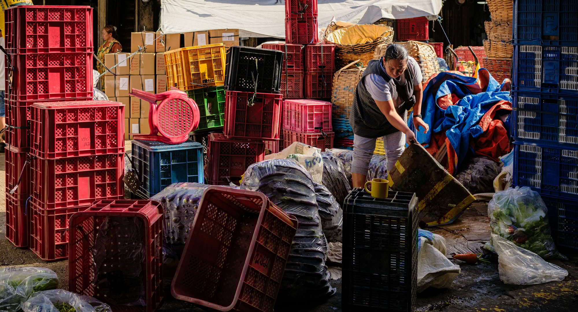 pexels-jc-presco-2154038034-34936950